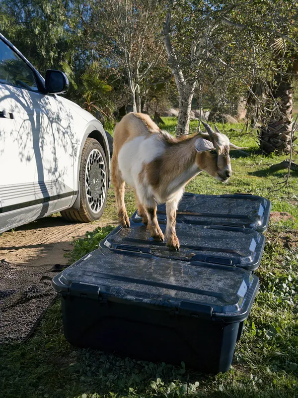 Gregory gear boxes loaded up