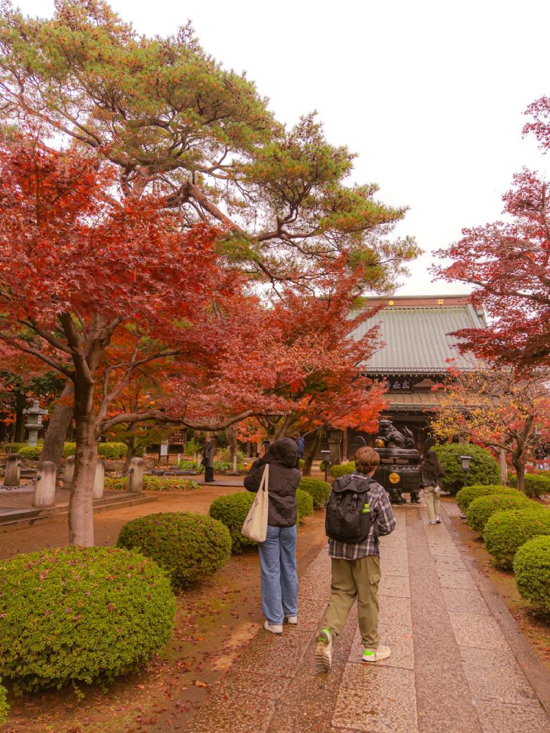 The temple itself was lovely and the colors were incredible.