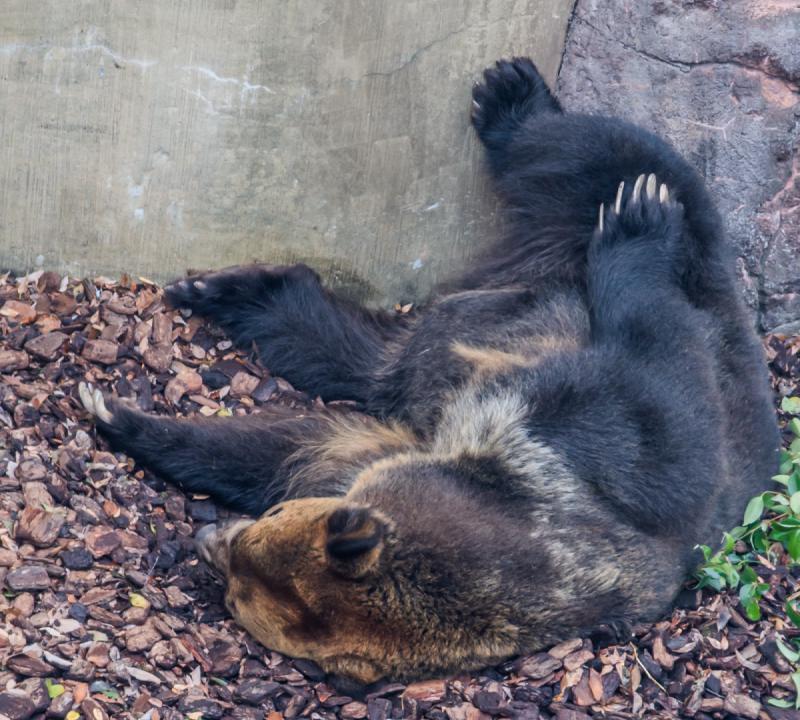 This is my new reference for trying to relax.