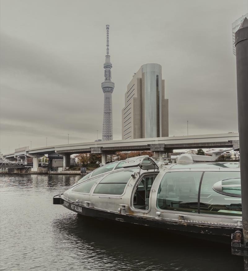 We didn't ride this boat. But I love the look.
