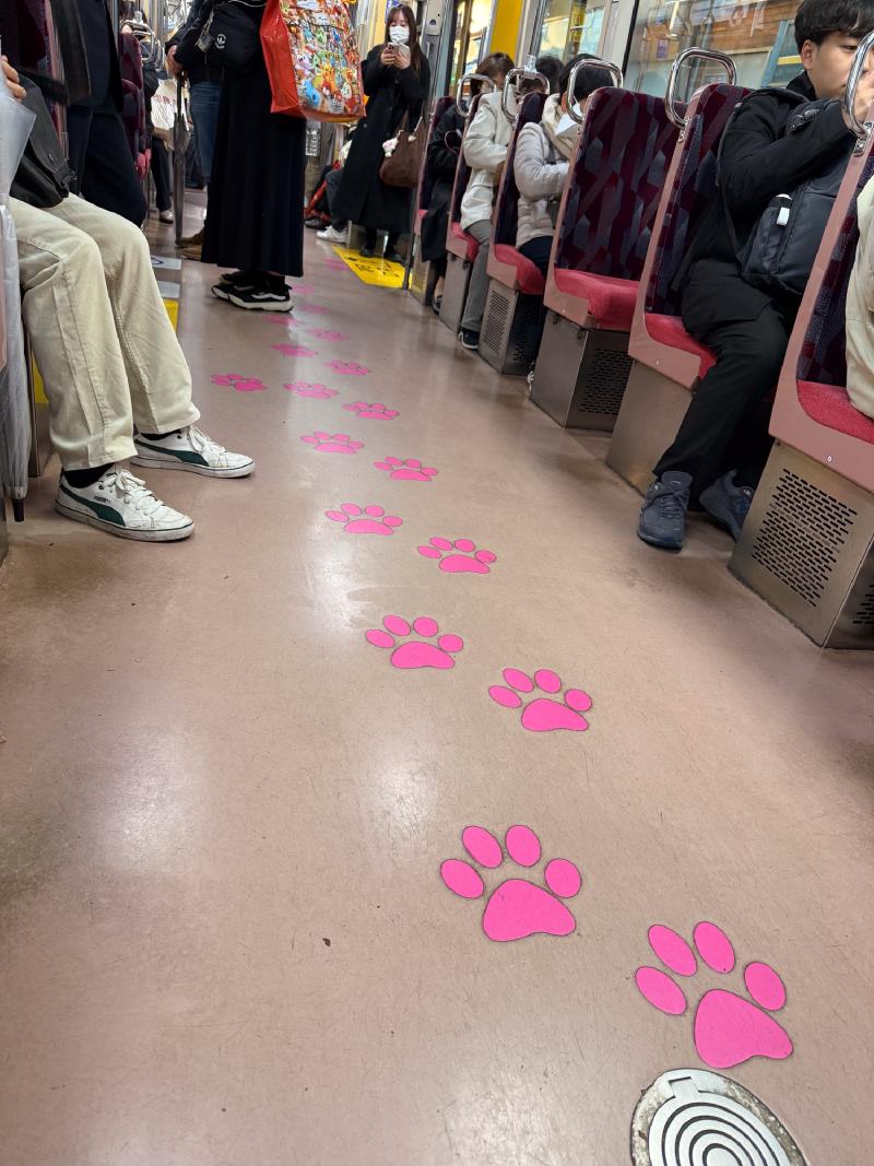On the way to Gōtokuji Temple, you can take a special lucky cat themed trolley.