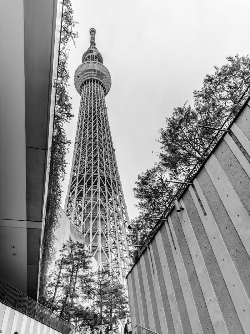 Tokyo Skytree. Another 'touristy but worth it' destination. Incredible views.