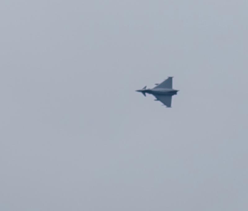 .... who did not like it when the fighter jet made a low flyby.
