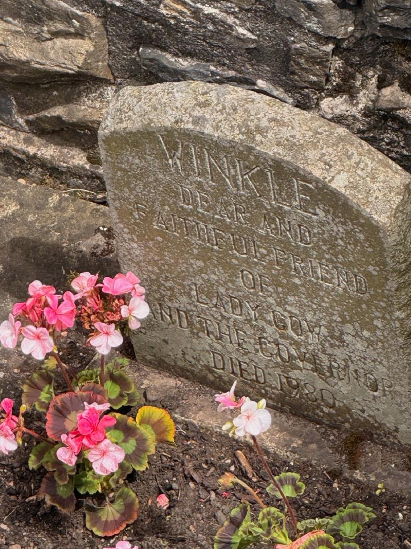 Literal pet cemetery