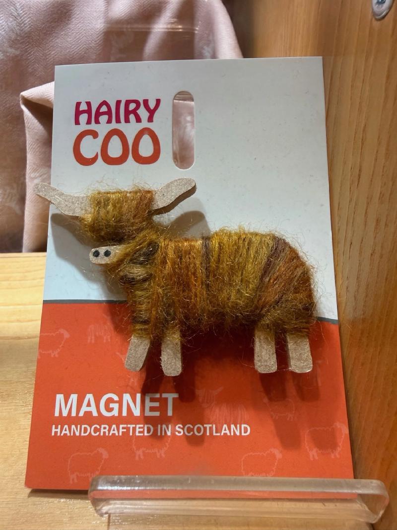 Highland Cows are Coos. Important lore before your visit.