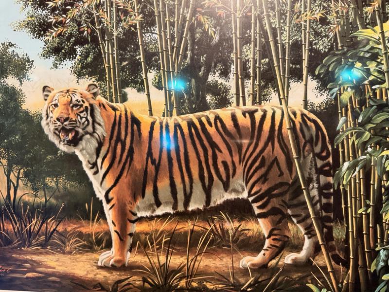 Can you see the hidden tiger?