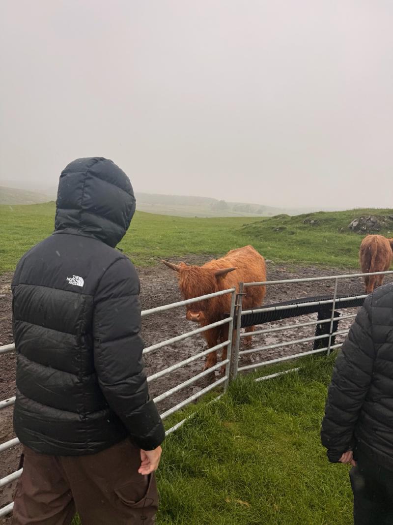 The cow safari was the hardest rain of the whole trip but it was still an awesome experience.